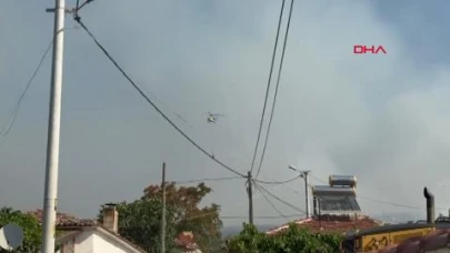 Tekirdağ'daki orman yangını 2'nci gününde