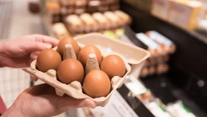 Yumurtalarda salmonella tehlikesi!