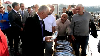 Şile'de palamut bolluğu