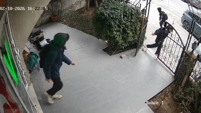 Avcılar'da 3 çocuk veterinere torpil attı! Hayvanlar panikle kaçıştı