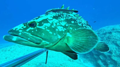 Karadeniz'de 'sessiz katil hayalet ağlara' robotik müdahale