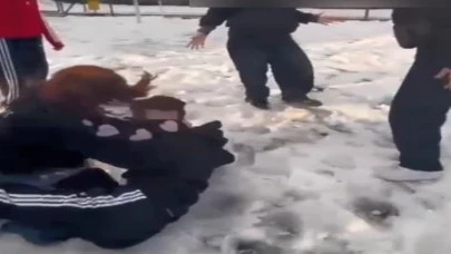 Parkta, kendilerinden küçük kızları darbettiler: 4 çocuk hakkında işlem yapıldı