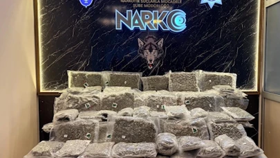 TIR'da 53 kilo skunk ele geçirildi; 2 gözaltı