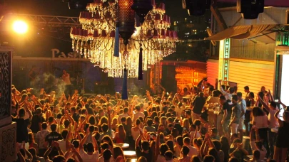 Ne demek damsız giriş yok!