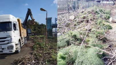 Hayır için ağaç kestiler!