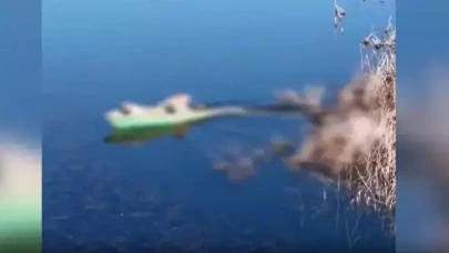 Yasa dışı avcılık yapan 11 kişiye idari işlem