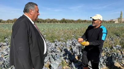 Elektrik zammı çiftçiyi çarptı
