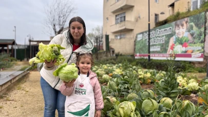 Fatih halkı lahana hasat etti