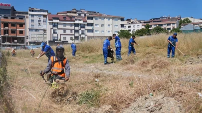 Arnavutköy'de yabani otlar temizleniyor: Yaz aylarında artan yangın tehlikesine karşı önlem alınıyor