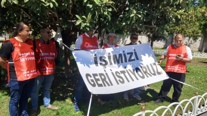 Ağaç AŞ işçileri işini istiyor