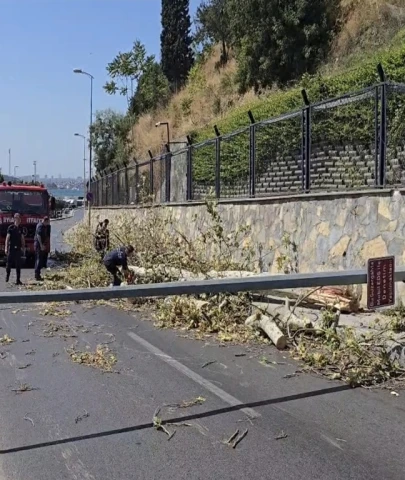 Üsküdar'da ağaç otomobilin üzerine devrildi