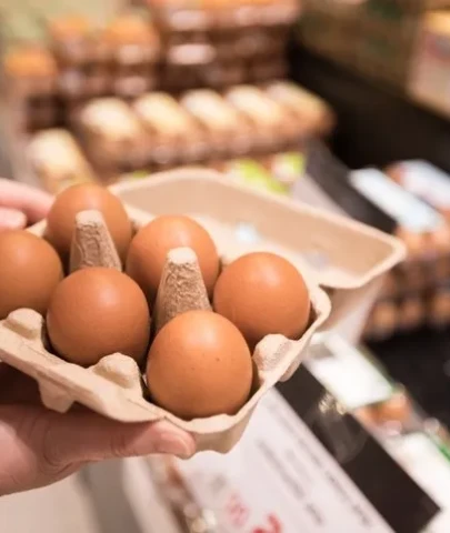 Yumurtalarda salmonella tehlikesi!