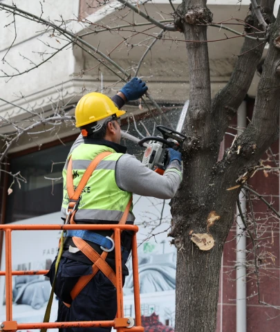 Küçükçekmece'de 522 haneye  ücretsiz yakacak!