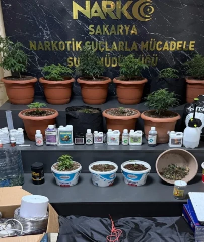 Kurdukları serada Hint keneviri yetiştiren 2 şüpheli gözaltına alındı