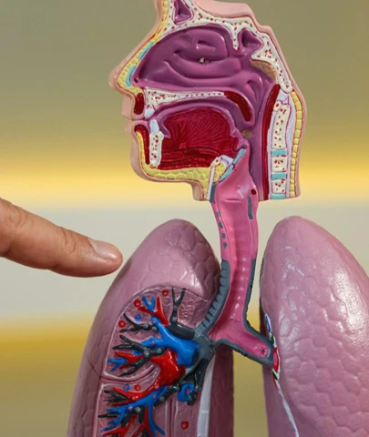 Akciğer sönmesi: Basit bir kas ağrısı zannedilebilir