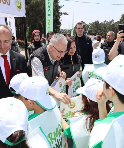İstanbul'da ormanlar temizlendi