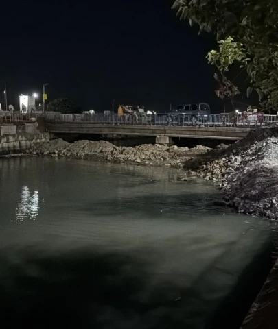 Bakırköy'de ölü balıklar korkuttu