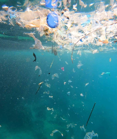 Akdeniz'deki mikroplastik sorunu çözülmezse turizm sekteye uğrar