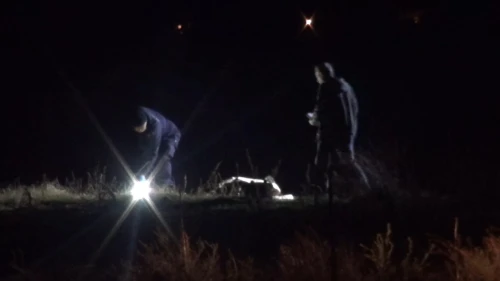 Silivri'de hayvanları otlatmaya çıkaran çobanın acı sonu!