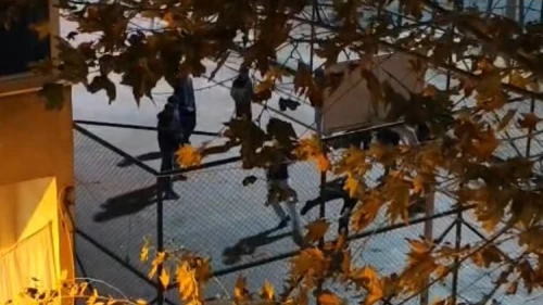 Parkta iğrenç kavga! Ayırmak yerine tezahüratta bulundular!