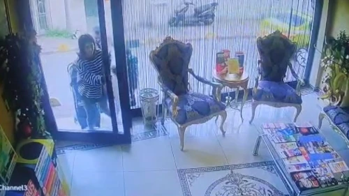 Böcek ailesinin otele giriş görüntüleri ortaya çıktı