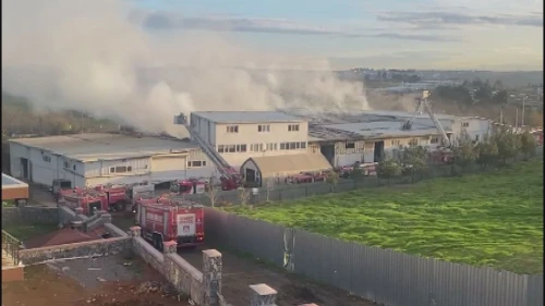 Tuzla'da kauçuk fabrikası kül oldu!