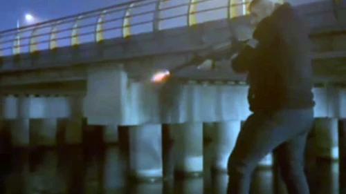 Büyükçekmece Gölü'ne uzun namlulu silahla ateş eden şahıs gözaltında!