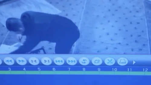 Camiinin parasını çaldı!