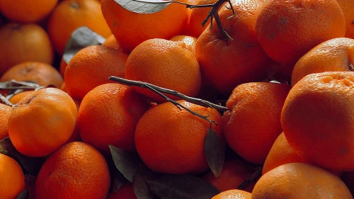 Mandalinada rekor üstüne rekor