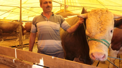 3 milyon 350 bin kurban kesilecek