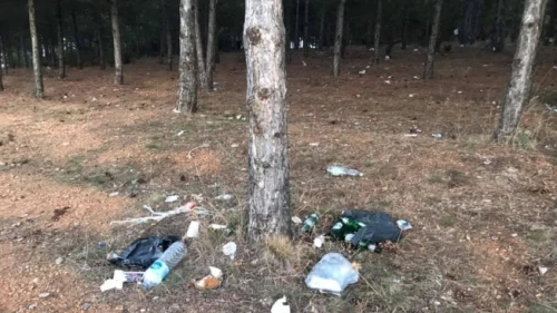 Çatalca ormanları alarm veriyor