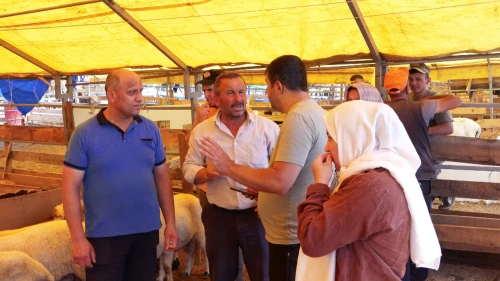 Kurban pazarlarında satıcılar toplanmaya başladı