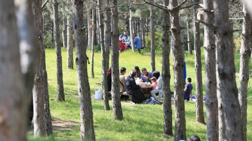 İstanbul'da ormanlara girmek yasak!