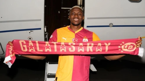 Aslan yeniden yuvada!