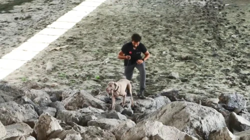 Büyükçekmece Gölü'nde kaybolan Okan Kurnaz'ı arama çalışmaları sürüyor