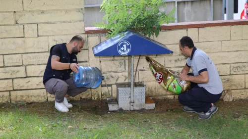 Küçükçekmece Belediyesi’nden sokak hayvanları için mama ve su desteği