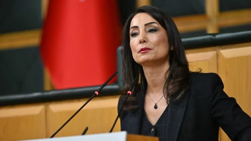 Bu dil barış getirmez!