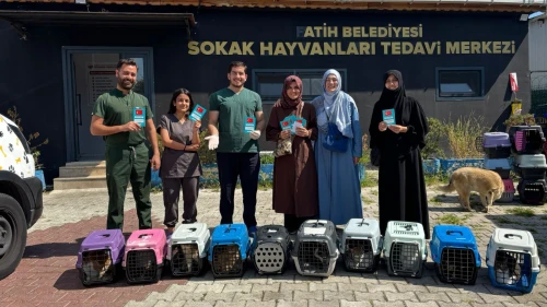 Yedikule'de sahiplenilmeyi bekliyorlar