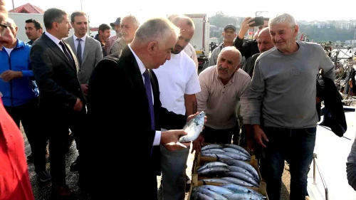 Şile'de palamut bolluğu