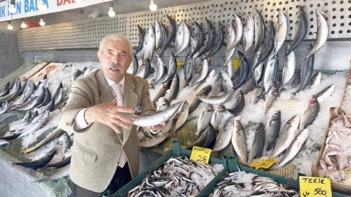 Palamuttan bol bir şey yok!