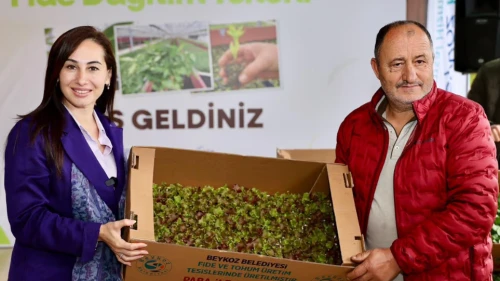 Beykoz çiftçiye fide dağıttı