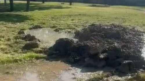 Küçükçekmece'de çukura düşen Edanur Gezer'in ölümüne ilişkin davada karar