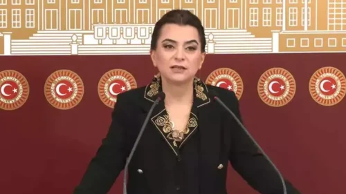 DEM Parti Grup Başkanvekili Gülistan Kılıç Koçyiğit: Barış yasaları ivedilikle çıkmalı