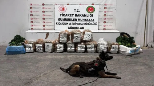 Maydanoz ve dereotu yüklü TIR'dan 51 kilo esrar çıktı