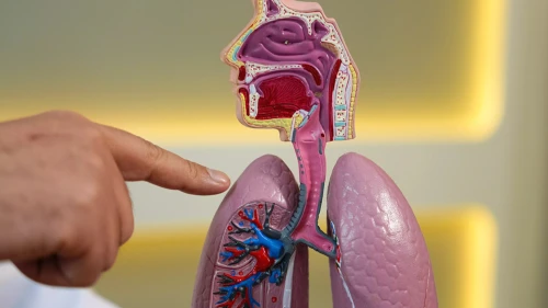 Akciğer sönmesi: Nasit bir kas ağrısı zannedilebilir