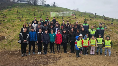 Çamlar toprakla buluştu