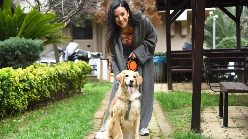 “Sahiplen Kadıköy” sayesinde yuvasını buldu