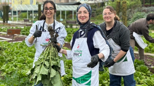 İstanbul'un kalbinde yeşil deneyim