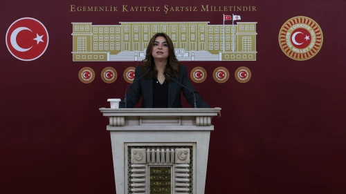 DEM Parti'li Koçyiğit: Barışın hukuka ihtiyacı var