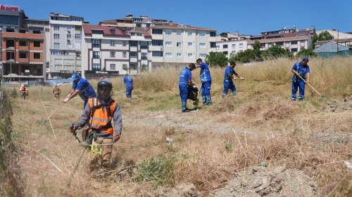 Arnavutköy'de yabani otlar temizleniyor: Yaz aylarında artan yangın tehlikesine karşı önlem alınıyor